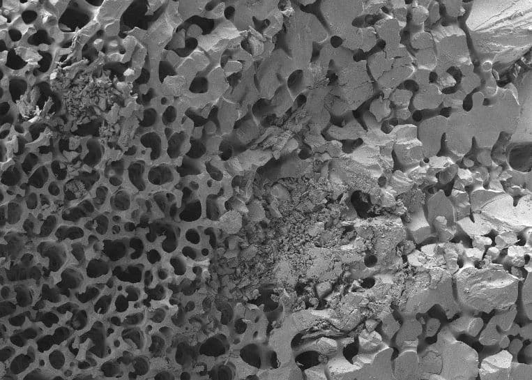 Photo courtesy of Stav Bouzaglo